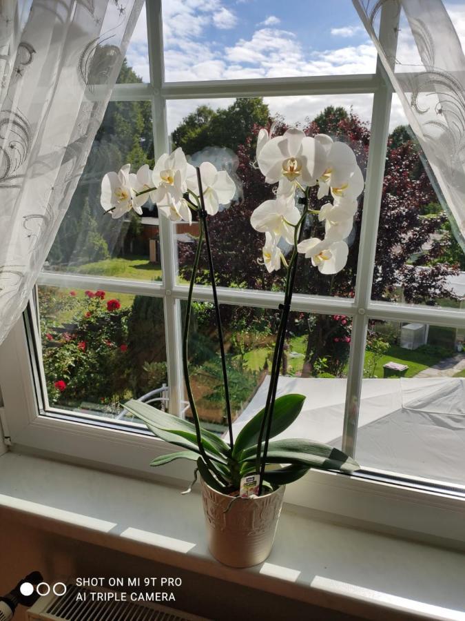 Blumen Apartment 함브루크 외부 사진